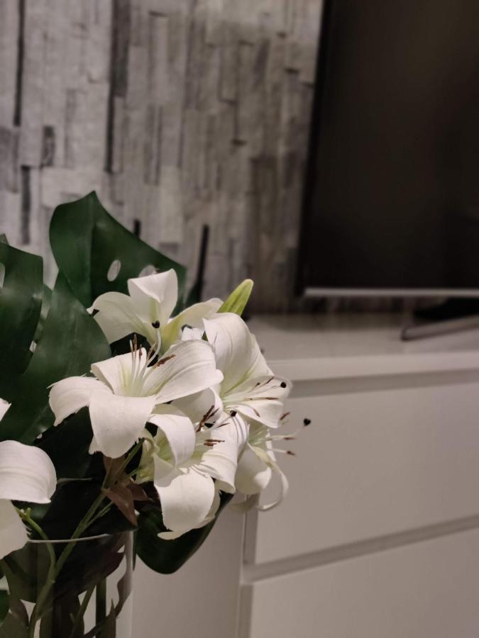 Arena Apartment - Own Sauna, In The Heart Of Tampere Near To Nokia Arena Εξωτερικό φωτογραφία